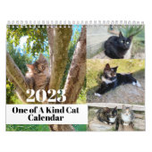 Calendrier mensuel des chats mural 2024 (Protection)