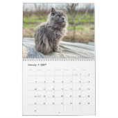 Calendrier mensuel des chats mural 2024 (Jan 2027)