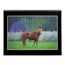 Calendrier mensuel des chevaux 2017 par Thomas