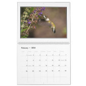 Calendrier mensuel des colibris 2016 par Tom (Feb 2026)