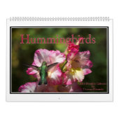 Calendrier mensuel des colibris 2016 par Tom (Protection)