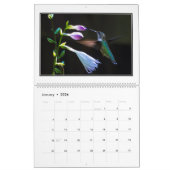 Calendrier mensuel des colibris 2016 par Tom (Jan 2026)