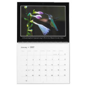 Calendrier mensuel des colibris 2017 par Tom (Jan 2027)