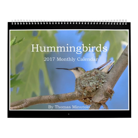 Calendrier mensuel des colibris 2017 par Tom (Protection)