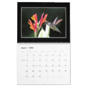 Calendrier mensuel des colibris 2018 par Tom (Mar 2026)