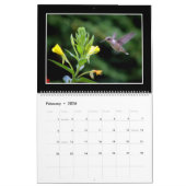 Calendrier mensuel des colibris 2018 par Tom (Feb 2026)