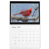 Calendrier mensuel des oiseaux 2019 par Thomas (Feb 2027)