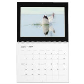 Calendrier mensuel des oiseaux 2019 par Thomas (Mar 2027)