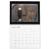 Calendrier mensuel des oiseaux 2019 par Thomas (Jan 2027)