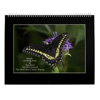 Calendrier mensuel des papillons 2018 par Tom