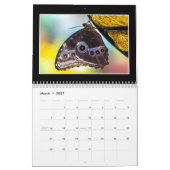 Calendrier mensuel des papillons par Thomas Minuto (Mar 2027)