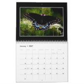 Calendrier mensuel des papillons par Thomas Minuto (Jan 2027)