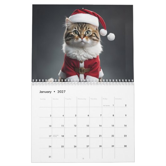 Calendrier Meowy (Jan 2027)