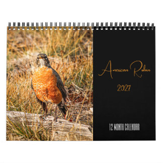 Calendrier Merle d'Amérique 2027