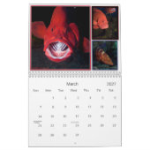 CALENDRIER MERVEILLES DESSOUS (Mar 2027)