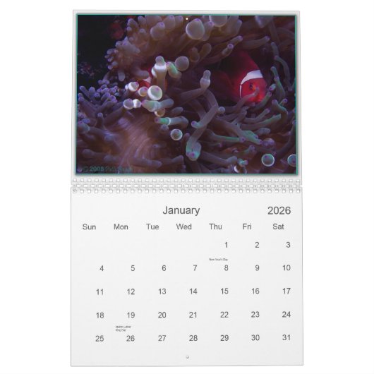 CALENDRIER MERVEILLES DESSOUS (Jan 2026)