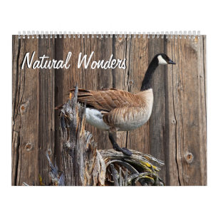 CALENDRIER MERVEILLES NATURELLES