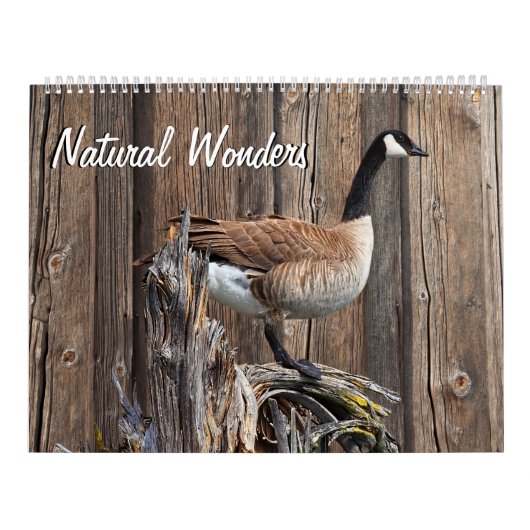 CALENDRIER MERVEILLES NATURELLES (Protection)