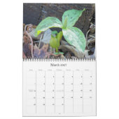 Calendrier Merveilles sauvages 2012 (Mar 2027)