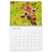 Calendrier Merveilleuses Giraffes 2026 (Jan 2027)