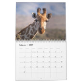 Calendrier Merveilleuses Giraffes 2026 (Feb 2027)
