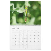 Calendrier merveilleux d'ailes (Mar 2027)