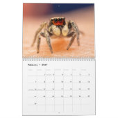 Calendrier Merveilleux sauteurs (Feb 2027)