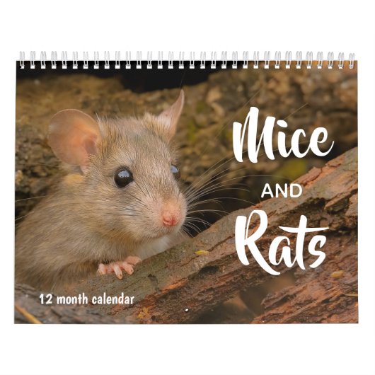 Calendrier Mice et Rats 2026 (Protection)