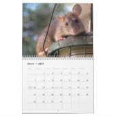 Calendrier Mice et Rats 2026 (Mar 2027)