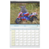 Calendrier Mice - George the mouse in a log pile house Calend (Feb 2026)