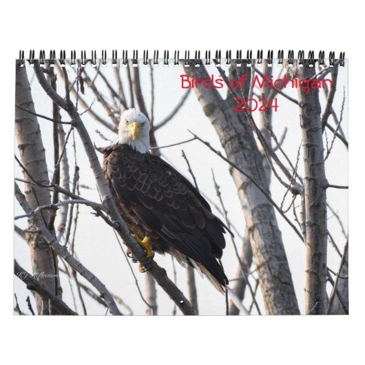 Calendrier Michigan Birds 2024 (Protection)