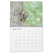 Calendrier Michigan Birds 2024 (Jan 2027)