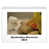 Calendrier Microcosme 2012 de guimauve (Protection)