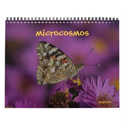 Calendrier microcosmos (Protection)