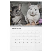 Calendrier mignon 2011 de chinchilla (Feb 2026)