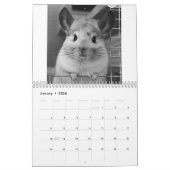 Calendrier mignon 2011 de chinchilla (Jan 2026)