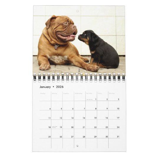 Calendrier mignon 2016 de chiots (Jan 2026)