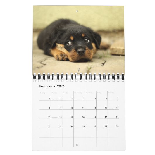 Calendrier mignon 2016 de chiots (Feb 2026)