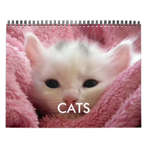 Calendrier Mignon Chat Rose Amateur de Chat Douill