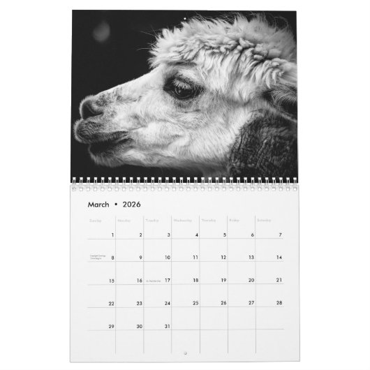 Calendrier mignon d'alpaga entièrement (Mar 2026)