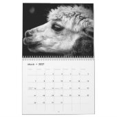 Calendrier mignon d'alpaga entièrement (Mar 2027)