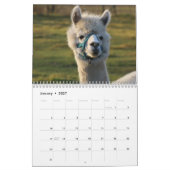 Calendrier mignon d'alpaga entièrement (Jan 2027)