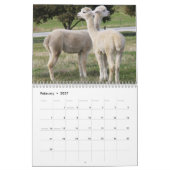 Calendrier mignon d'alpaga entièrement (Feb 2027)