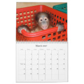 Calendrier mignon de bébés de faune de singes (Mar 2027)