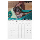 Calendrier mignon de bébés de faune de singes (Feb 2027)