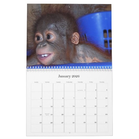 Calendrier mignon de bébés de faune de singes (Jan 2026)