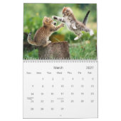 Calendrier mignon de chaton (Mar 2027)