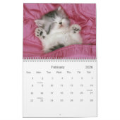 Calendrier mignon de chaton (Feb 2026)