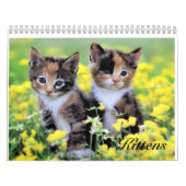 Calendrier mignon de chaton (Protection)