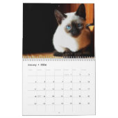 Calendrier mignon de chatons (Jan 2026)